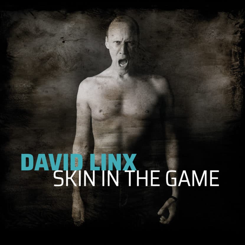 David Linx - Skin In The Game